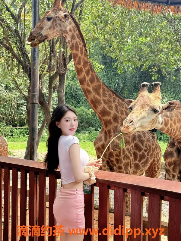 深圳上门服务资源信息,南山上门小泡泡，课费2500p，热情服务等你体验！