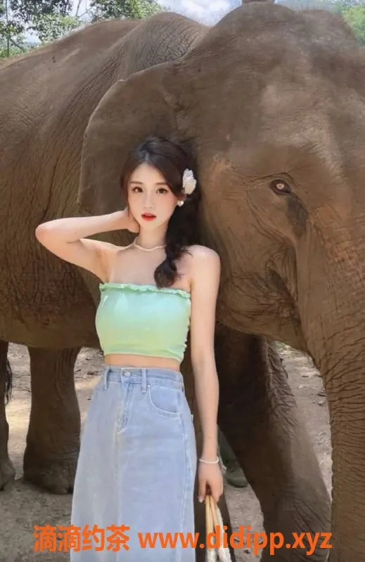 广州楼凤资源信息,佛山禅城英子，服务800起，尽享美好时光