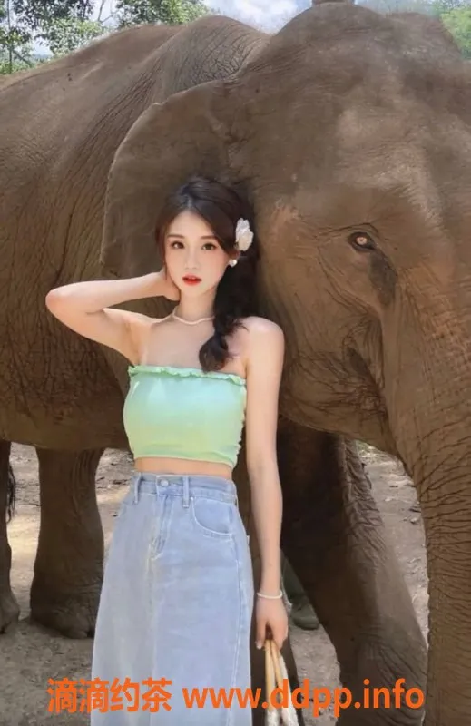 广州楼凤资源信息,佛山禅城英子，停车800起，服务一流