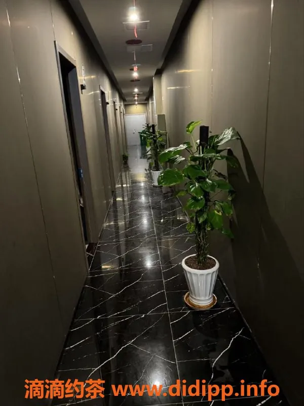 苏州spa会所-苏州新区九五后高端SPA，现价338元