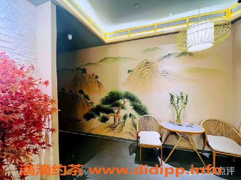 上海spa会所-金桥全萝4T超低价，超值体验只需498元！