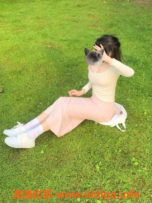 郑州楼凤资源信息,郑州小7，168高挑，18岁陪浴调情服务