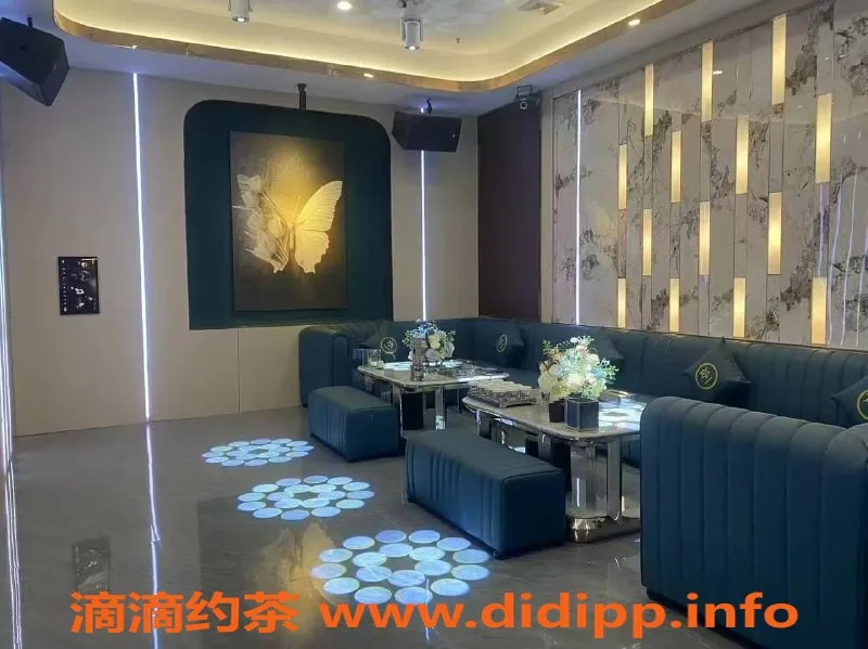 南宁spa会所资源信息,青秀区真空KTV，特价1000元体验沙发秀