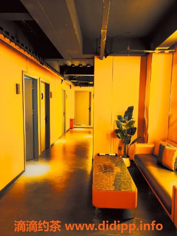 福州楼凤资源信息,晋安区水云境双飞限时优惠，白天仅需599元！