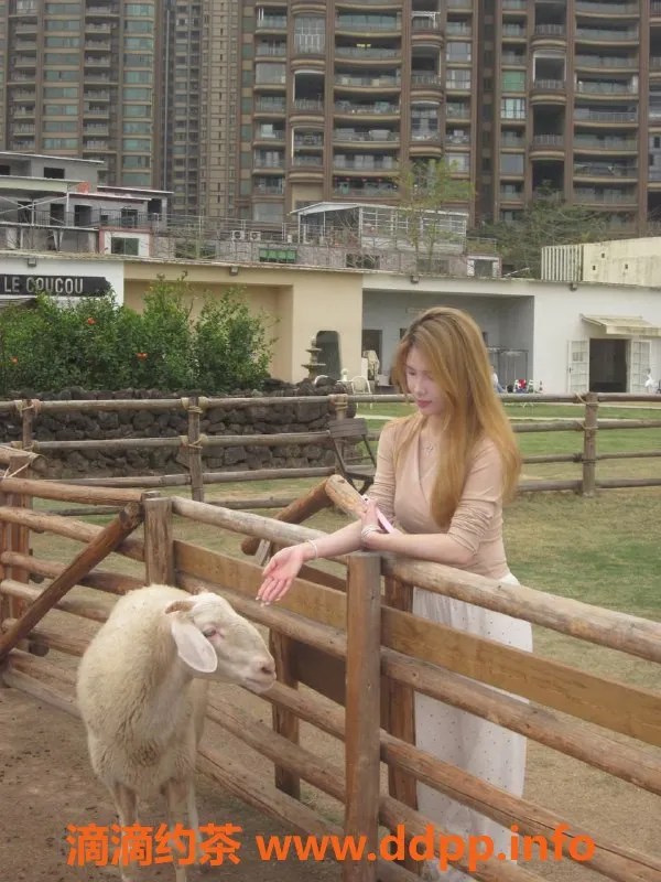 广州楼凤资源信息,天河嫩妹尤尤子，700元约享精彩服务