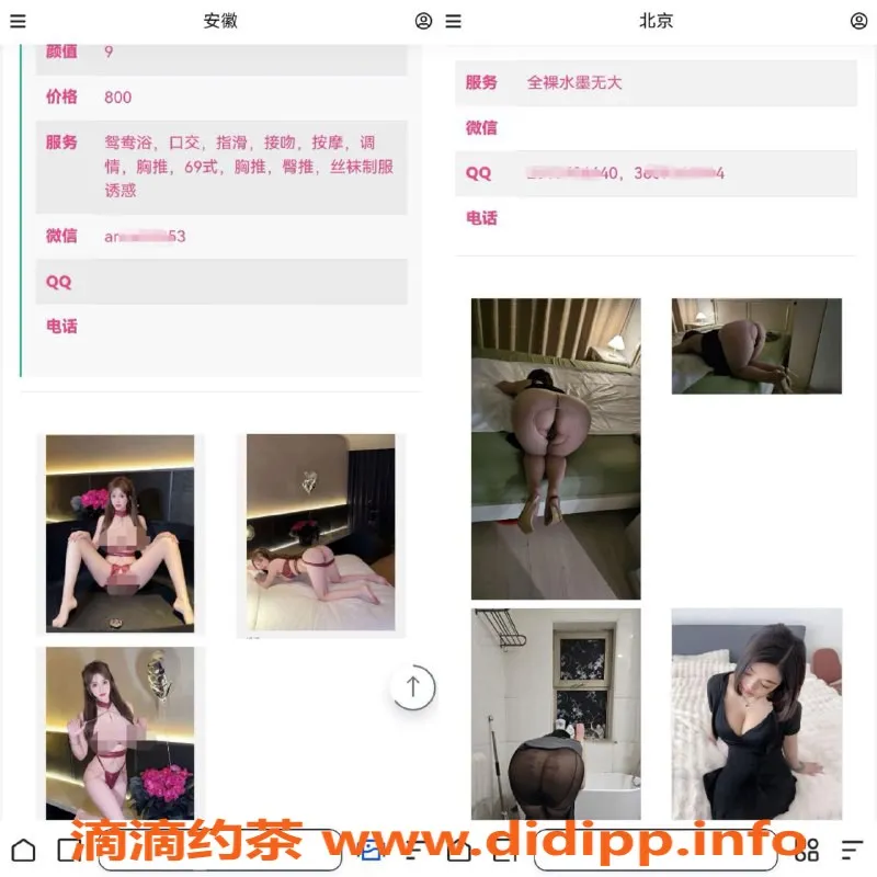 广州楼凤-全网凤楼集合app，随时随地畅享服务