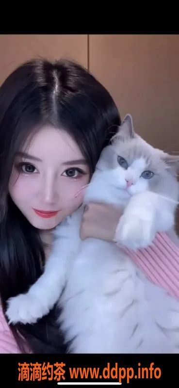 福州楼凤资源信息,福州小珍珠—视频认证，尽享服务体验