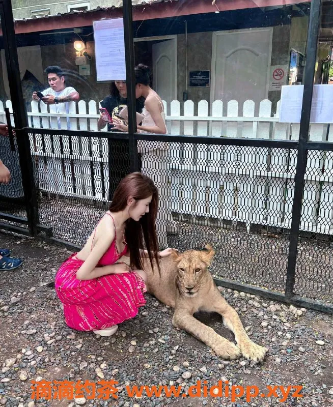 深圳楼凤-美羊，深圳龙华美女，1500起服务！