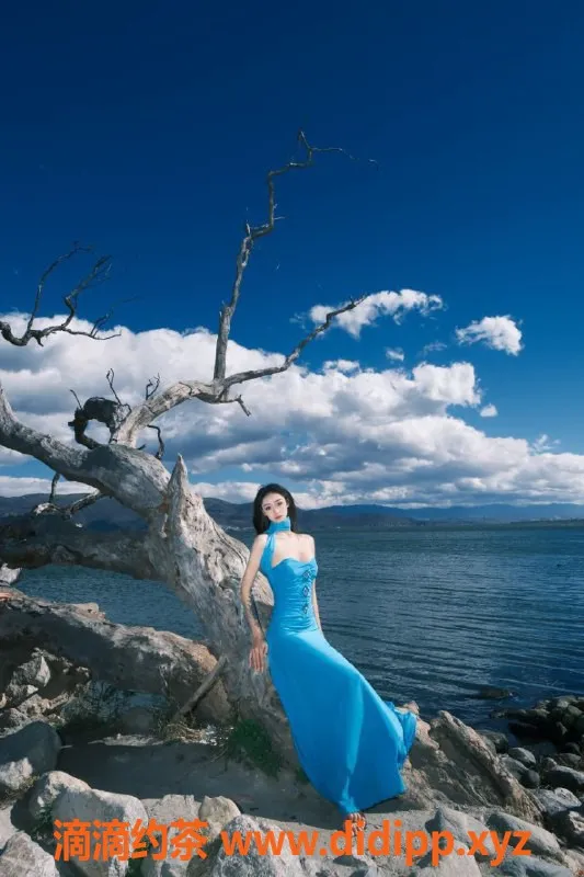 成都上门服务-高新区小甜甜，8pp上门御姐车