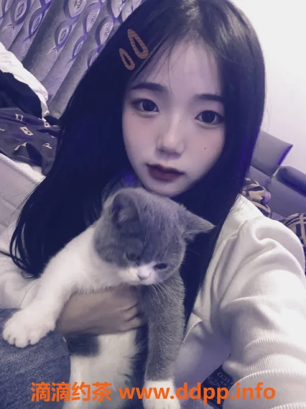 成都楼凤-成都萝卜|清纯少女|158cm|90斤|700元起