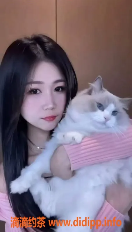 宁波楼凤-海曙小馒头，600元服务，视频验证艺人