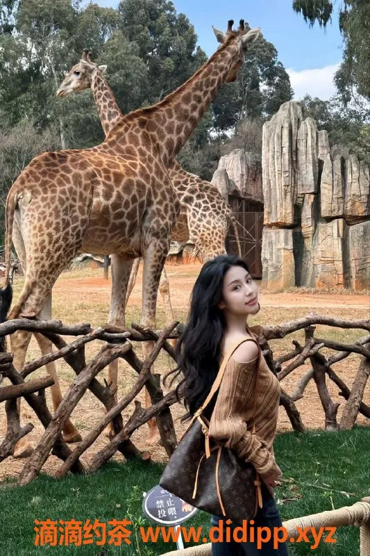 广州楼凤资源信息,荔湾嫩妹小不点，700元约会服务