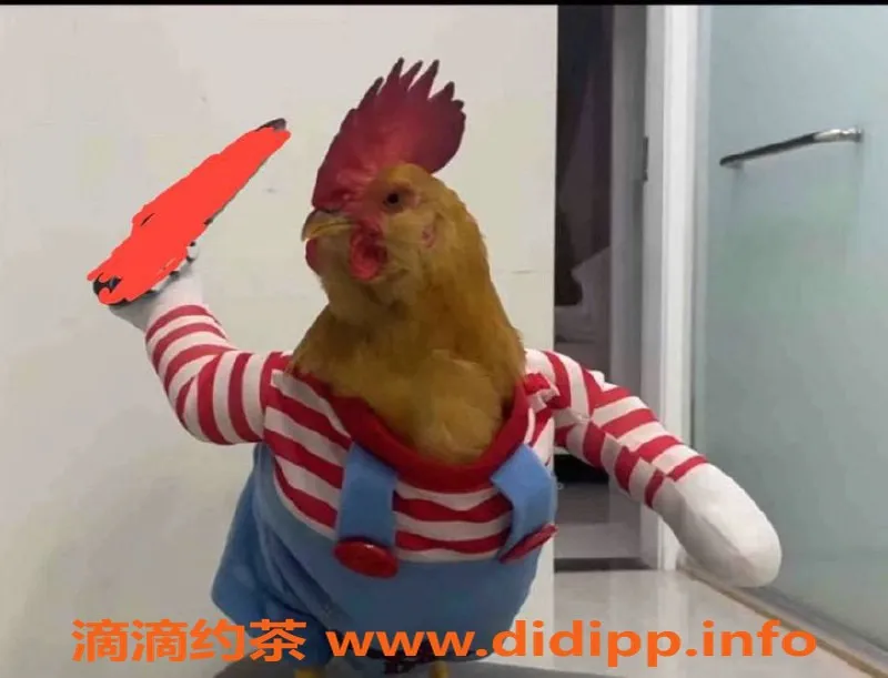 深圳楼凤资源信息,南山小仙女，年轻可爱，服务一流