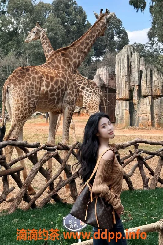 广州楼凤-荔湾小不点，嫩妹大胸夜课7P特惠