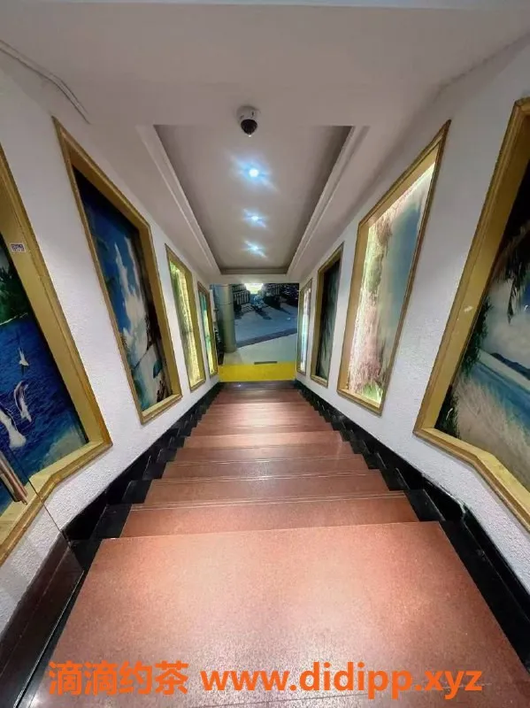 广州spa会所资源信息,白云罗冲围水汇，性感技师体验668起