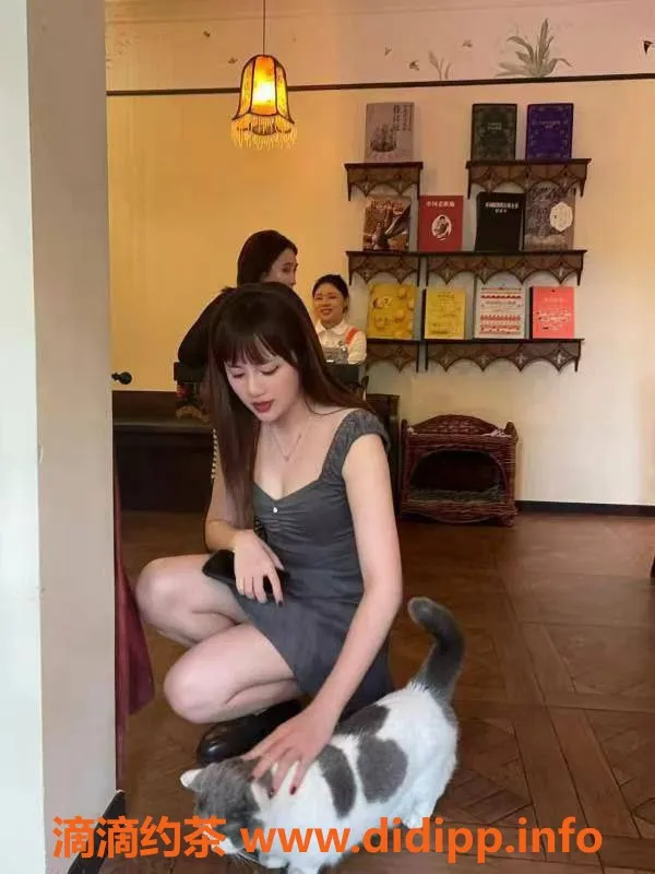 成都楼凤资源信息,成华区安然，颜值车6p无优惠，聊天代聊服务