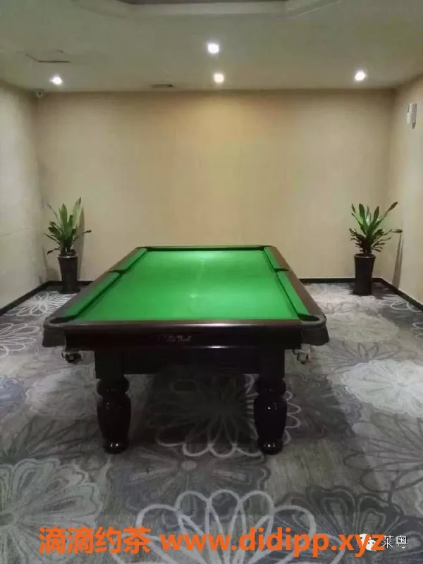 广州楼凤资源信息,白云区顶级95，658元体验奢华享受