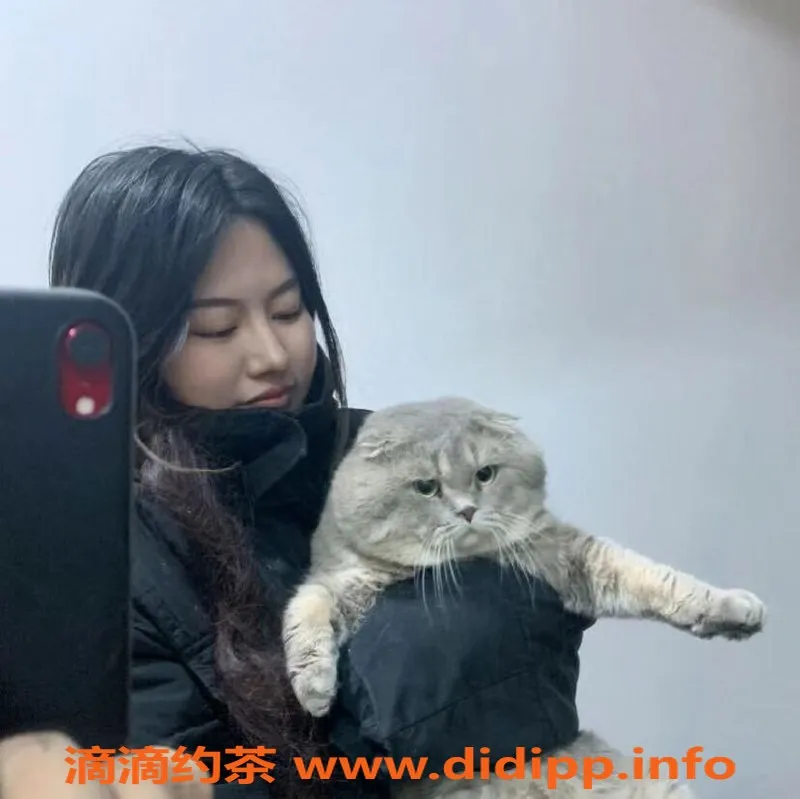 太原楼凤资源信息,太原琦琦：青春靓丽，服务周到