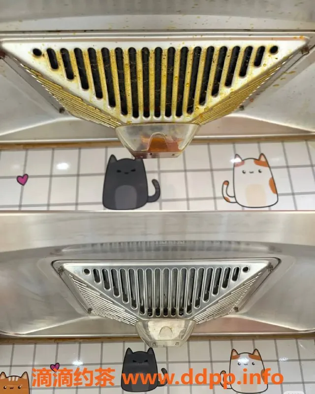 东莞楼凤资源信息,陈师傅搞卫生，服务周到，联系电话13544606414