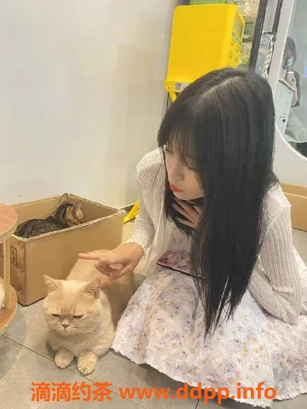 东莞楼凤-常平诺诺，已验证服务，600元体验