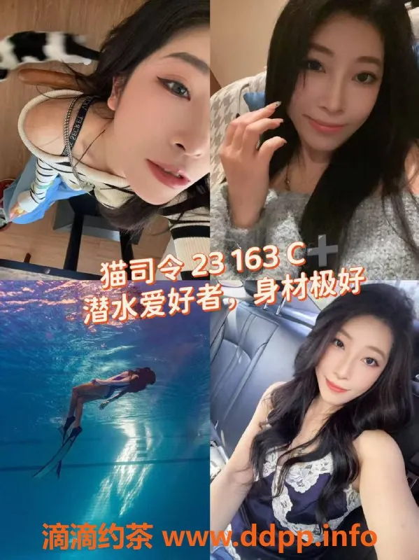 广州女仆店资源信息,佛山独角兽女仆，399元起，24小时服务