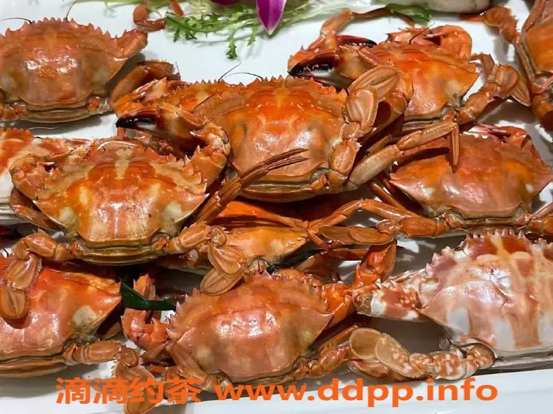 广州楼凤-白云石井94场，669元起超值体验