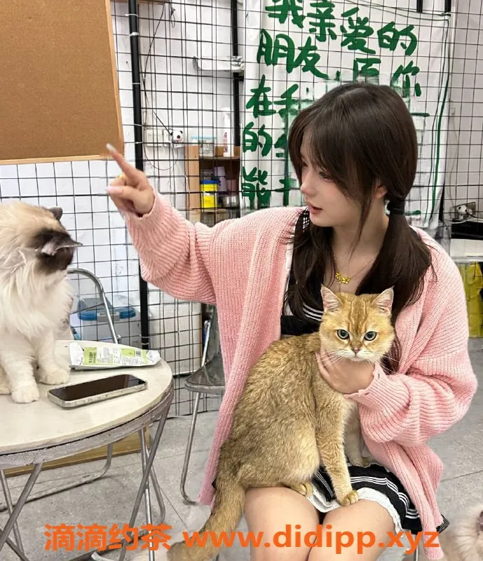 杭州楼凤-上城区嫩妹茜茜，舌吻服务仅需1000¡