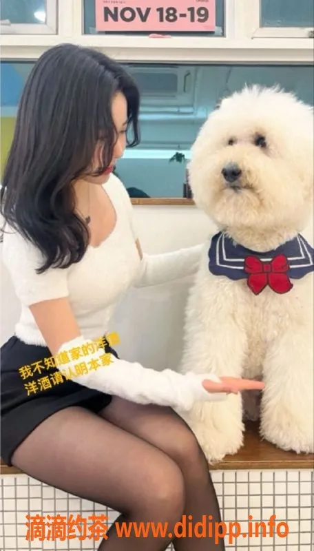 杭州上门服务-上城区25岁E杯美女，身高167，46斤激情服务