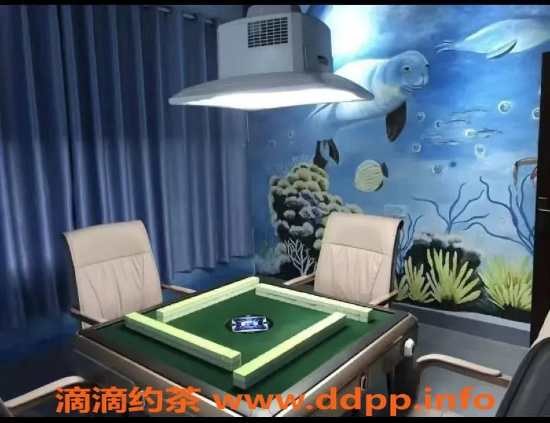 广州spa会所-马务会所，超值服务仅需558元！