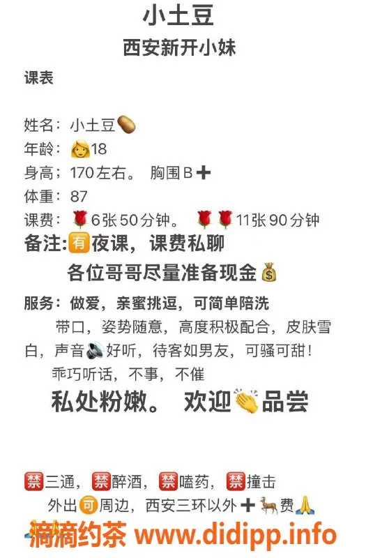 西安楼凤-未央小土豆，6P仅需价格实惠