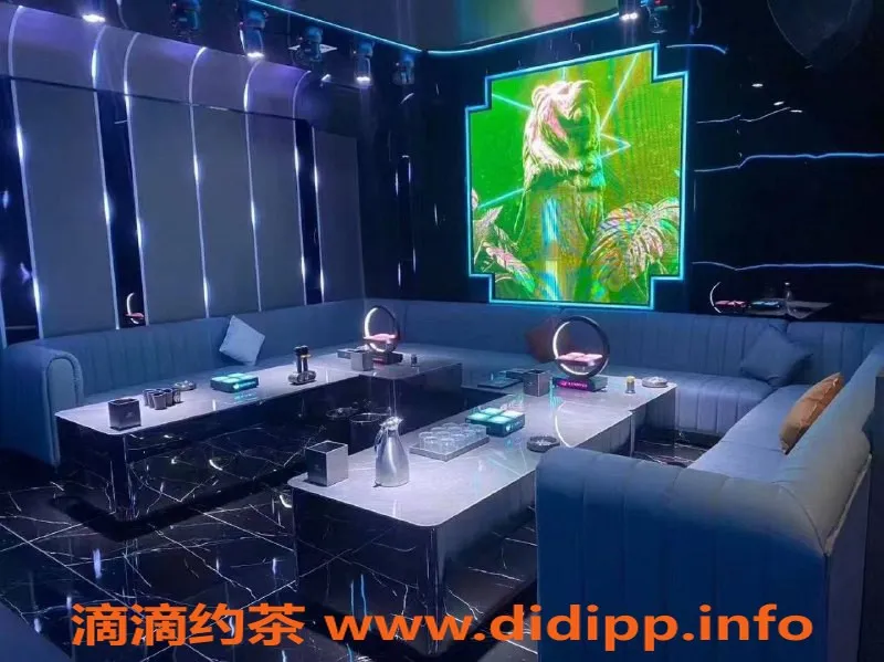 南宁楼凤资源信息,西乡塘区麗晶汇KTV越南风情陪玩，真空800