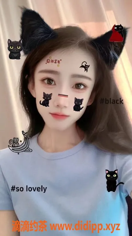 沈阳楼凤资源信息,沈阳小美 400p，娇小白虎，评分7.93