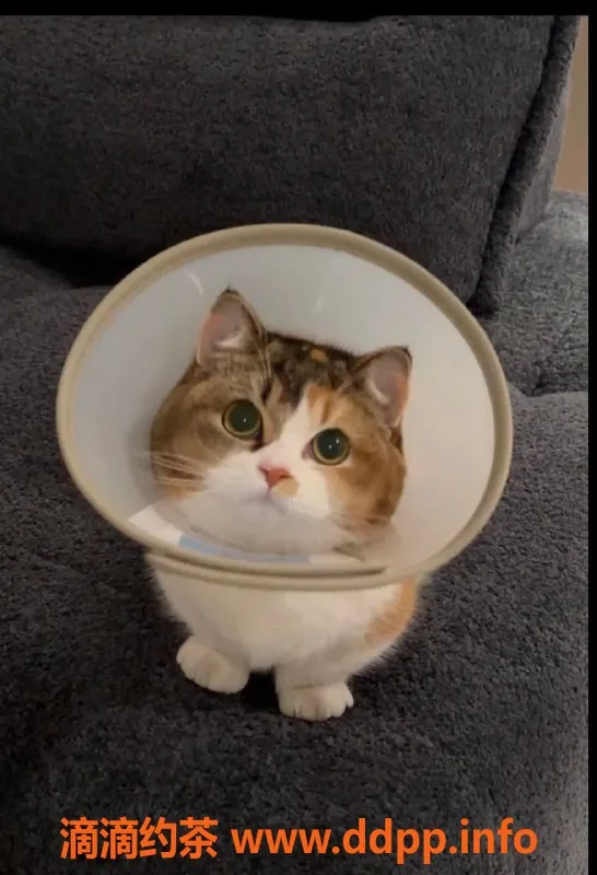 深圳楼凤-南山小仙女，绝佳享受，私密服务等你来体验