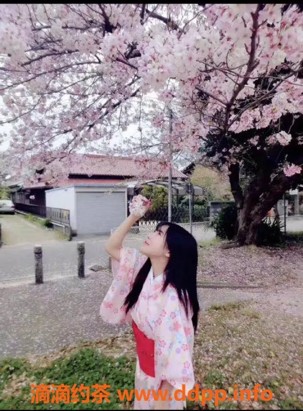 深圳楼凤-深圳南山新人日本妹，1288元起