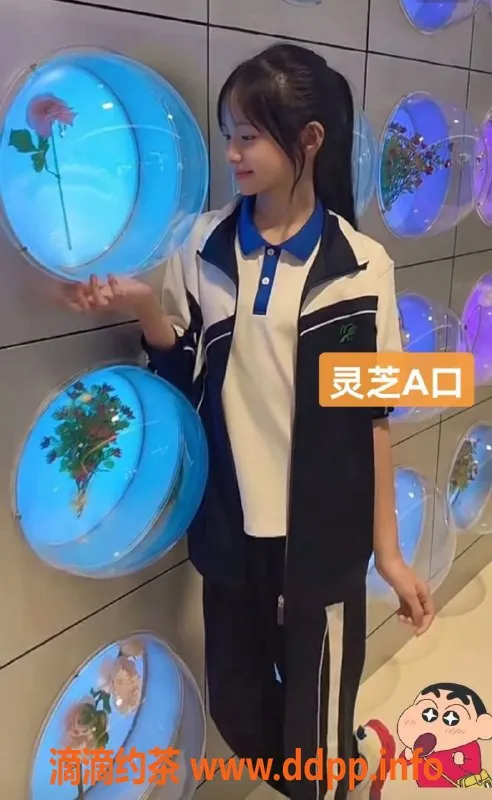 深圳楼凤-深圳200快餐楼凤，每天更新换人