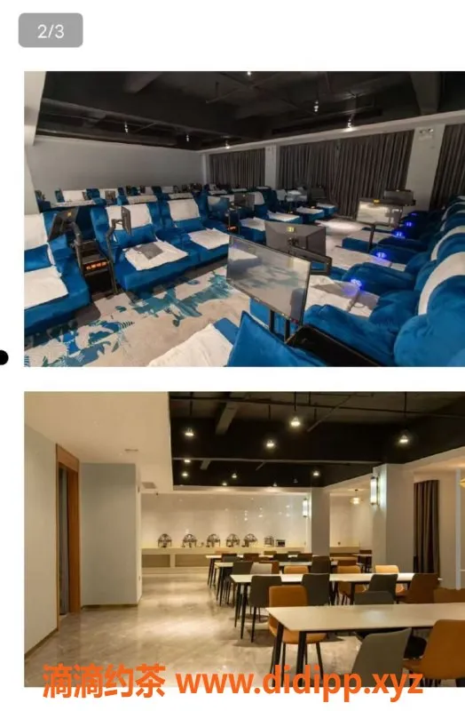 东莞楼凤-园洲高端水汇美女，服务优质体验绝佳