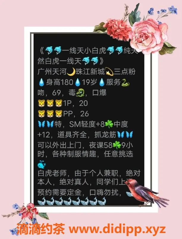 广州楼凤资源信息,天河小白虎，2000元一次超值体验