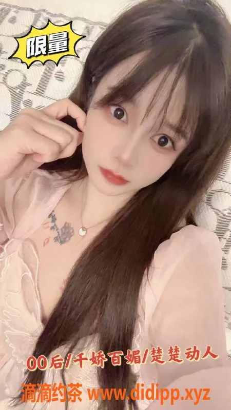 珠海楼凤-金湾新茶 | 今日开课 满满惊喜等你来体验