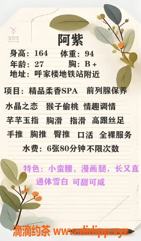 北京楼凤-朝阳阿紫：小蛮腰大长腿，服务超赞！