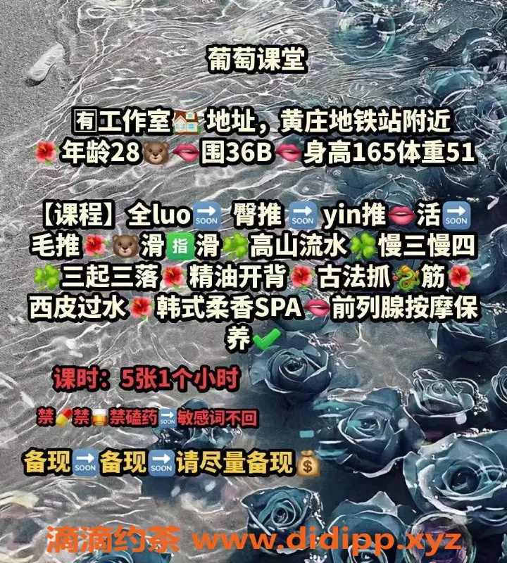 北京楼凤-海淀小葡萄，500元爽翻天，韩式SPA体验