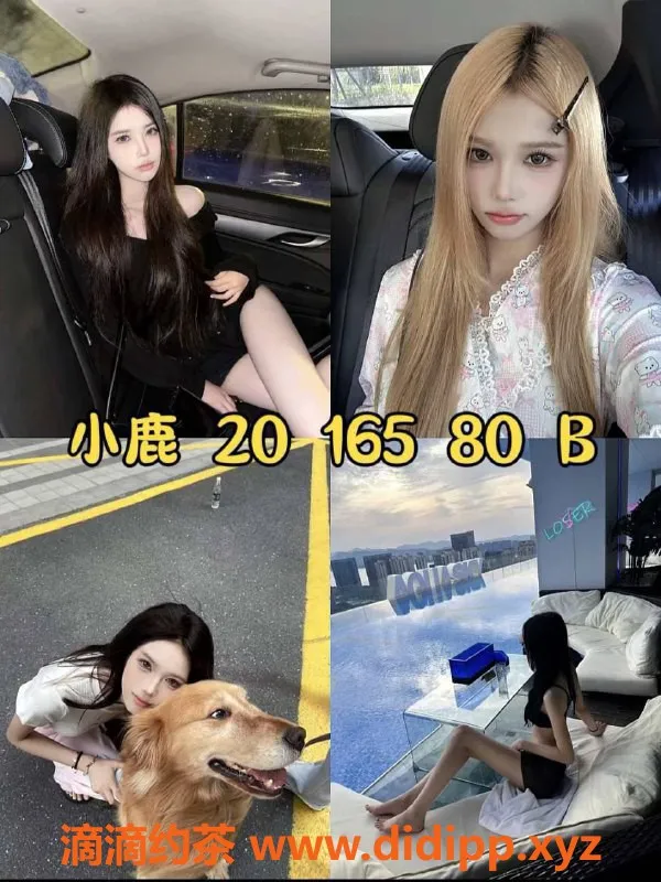杭州女仆店-拱墅心动天使女仆馆 大班600元/小时
