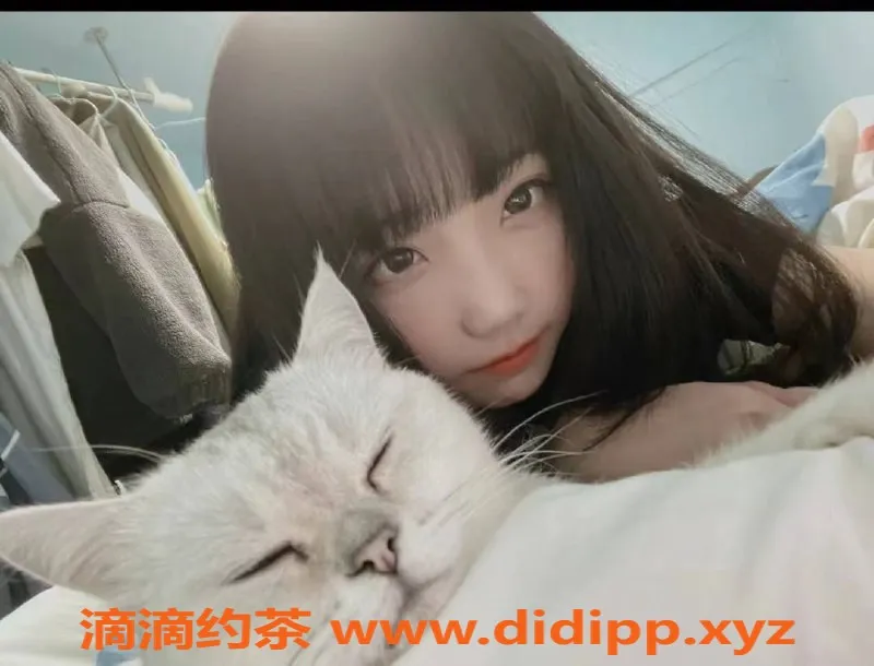 成都楼凤-金牛区嫩妹芯瑶，实惠课时费5p/8pp