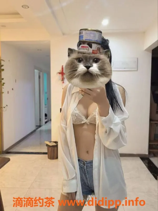 嘉兴楼凤资源信息,嘉善县小可乐，年轻活力选择