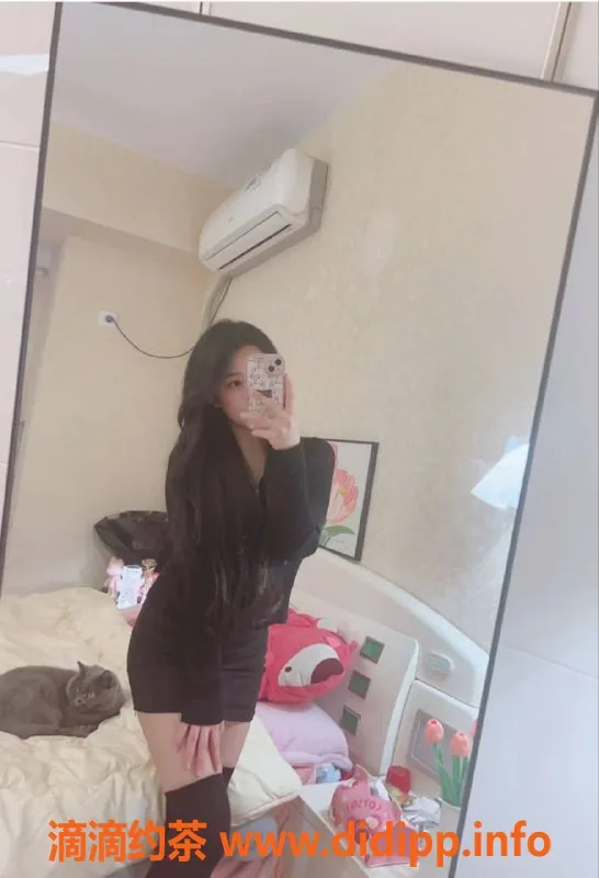 烟台楼凤资源信息,莱山区小蛋挞，物美价廉等你来体验！