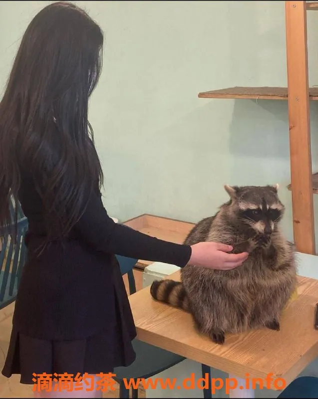 烟台楼凤-芝罘区恩熙老师，寒假兼职预约中！