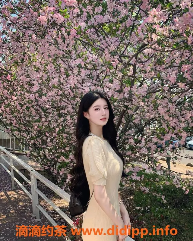 潍坊楼凤-潍坊高新区网红，168高配D罩玩具轻SM服务