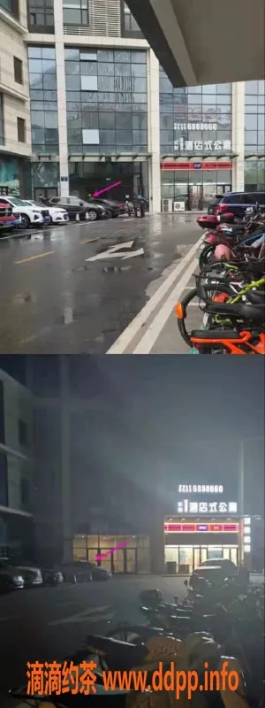 烟台楼凤-烟台长安一号b座 大x 服务优质