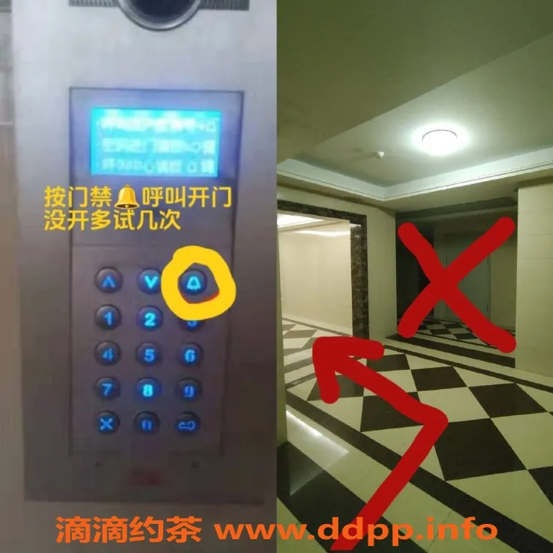 烟台楼凤-招远优质服务，精品女郎随心挑选