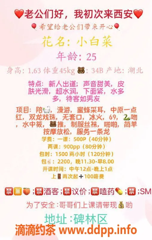 西安楼凤-碑林区小白菜，9.1分优质服务，性价比高