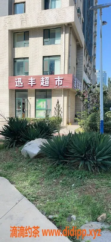 烟台楼凤资源信息,橡树湾少妇，成熟迷人，价格优惠